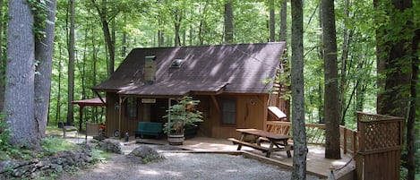 Bear paw cabin spring time view 