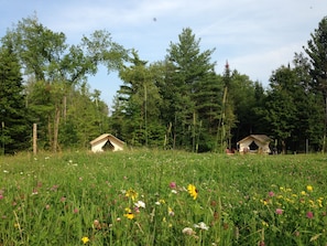 Our four glamping tents are spaced for privacy