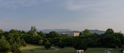 Balcony View
