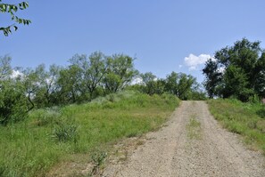 road leading to cabin