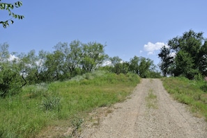 road leading to cabin