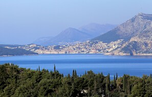 View from the terrace