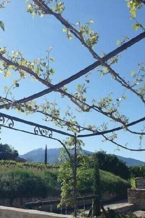 Die Terrasse im Frühling und der Ventoux