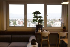 Bonsai tree in front of the massive living room window, best view in Nicosia.