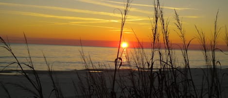 Enjoy Beautiful Sunsets, Dinner and Beverages at Crabby Steve's