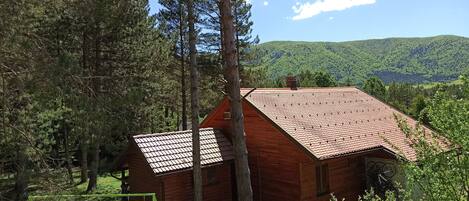 property exterior, mountain view, garden, playground, children entertainment