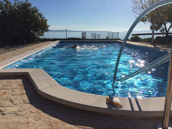 the pool 12,5x5,5m