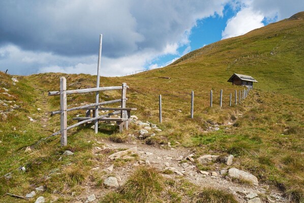 Wunderschöne Almlandschaft zum Wandern und Geniessen für die ganze Familie