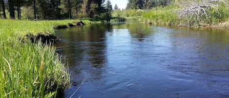 Little Deschutes River in July