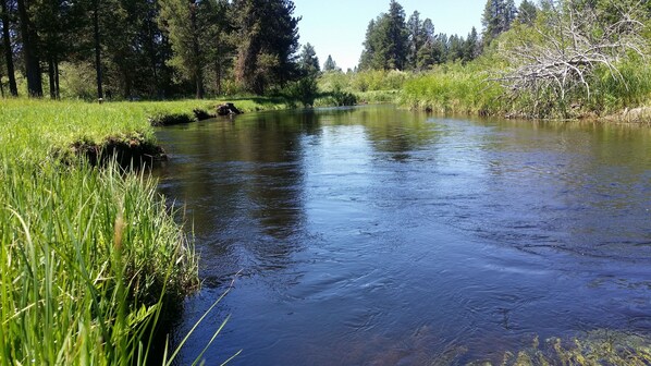 Little Deschutes River in July