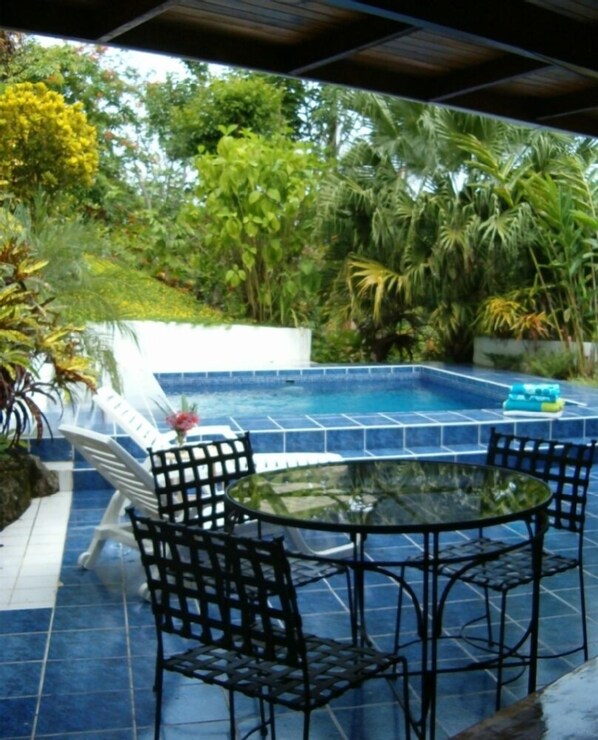 pool area and garden