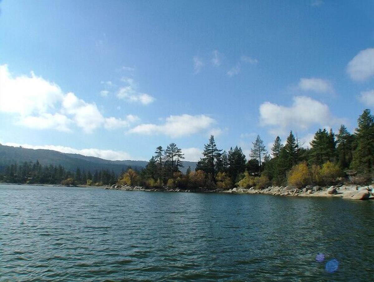 Main Image