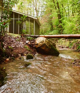 Little Gray Cottage - Private setting next to a creek