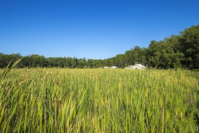 GLAMP SUZANNE: CANVAS CABIN ON PRETTY ADIRONDACK FARM OFFERS PRIVACY AND VIEWS