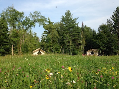 GLAMP SUZANNE: CANVAS CABIN ON PRETTY ADIRONDACK FARM OFFERS PRIVACY AND VIEWS