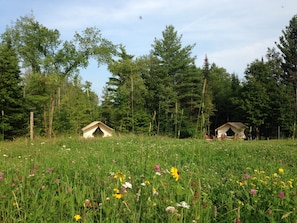 Two adorable glamping tents in the woods next to our wildflower meadow.