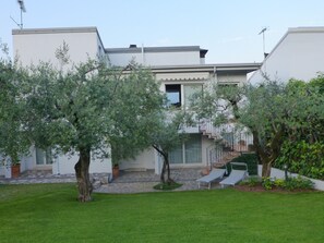 garden and outdoor area