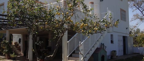 vista de la casa y uno de los limoneros