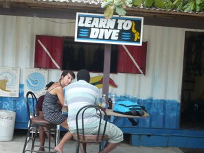 learn to dive