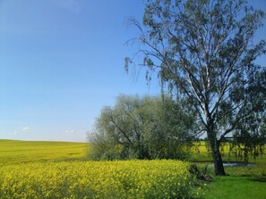 Blick von der Terrasse