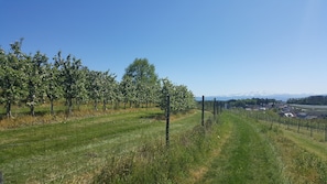 Boendeområde