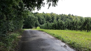 Boendeområde