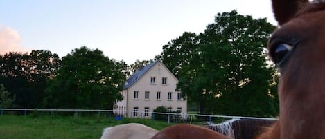 Vista da propriedade