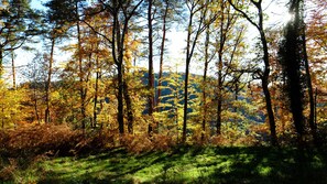 Boendeområde