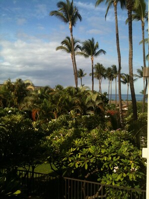 View from the lanai
