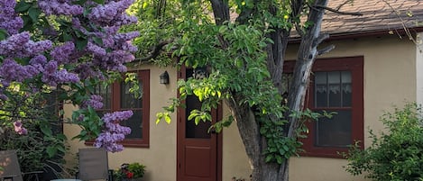 Lilac Cottage is behind apple tree and among lilac bushes bordering the yard.