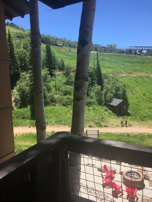 Fire pit and trail, view from the balcony of the condo