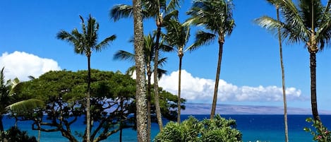 Spectacular ocean and tropical view from our private lanai (balcony)!