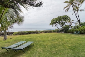 view of the lawn