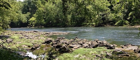 The Little Red River looking in the Shoals.