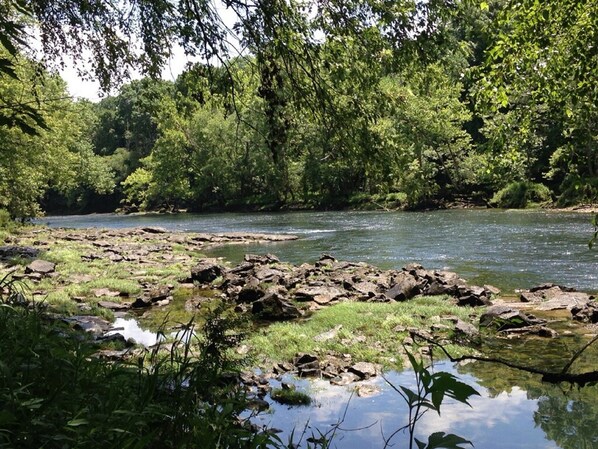 The Little Red River looking in the Shoals.