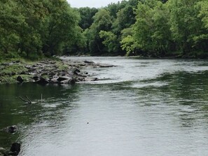 Wading in the Shoals. Let the fly-fishing begin!