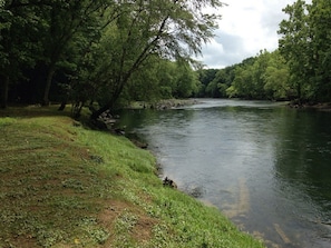 View of The Little Red River looking from the bank at the Shoals.