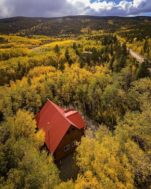 Aspens in Fall surrounds the cabin.