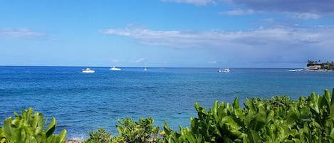 Resort snorkel boats bring their guests here. You get it for free!