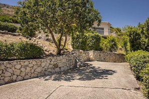 The landscaped drive featuring oak, olive, rosemary and lavender with plenty of space for 2-3 cars