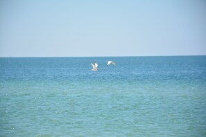 Typical day on the beach...