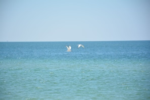 Typical day on the beach...