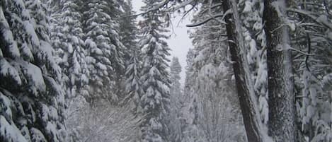 Snow path to Recreation Center and Village