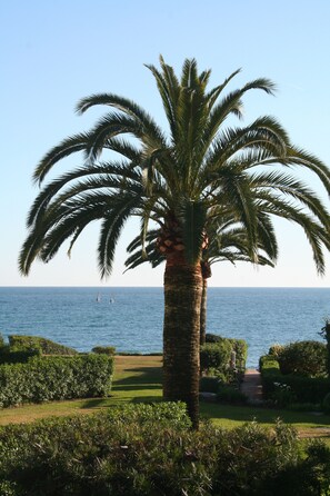 seaview from the house
