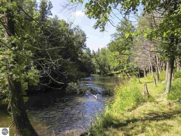 120' of gorgeous Betsie River frontage