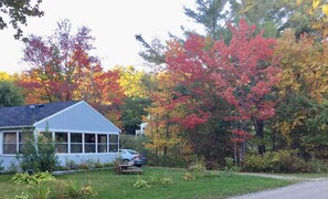 Lovely fall setting. 