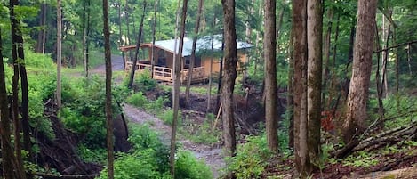 Cabin nestled in the woods, is just a stone throw from the creek!