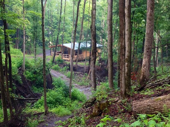 Cabin nestled in the woods, is just a stone throw from the creek!