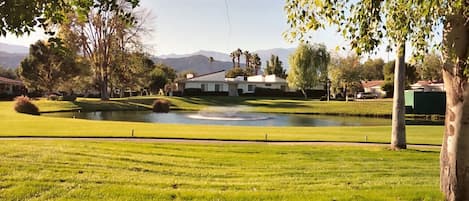 View from patio