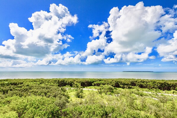 Mangrove and Ocean Views from the lanai